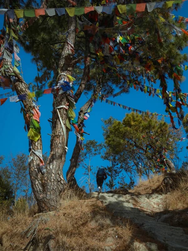 Hiking in Nepal