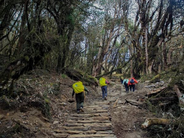 Mardi Himal Trek Autumn Scenic Trail