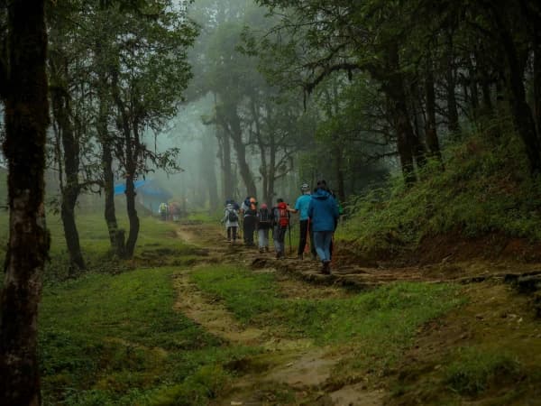 Mardi Himal Trek Forest Trail